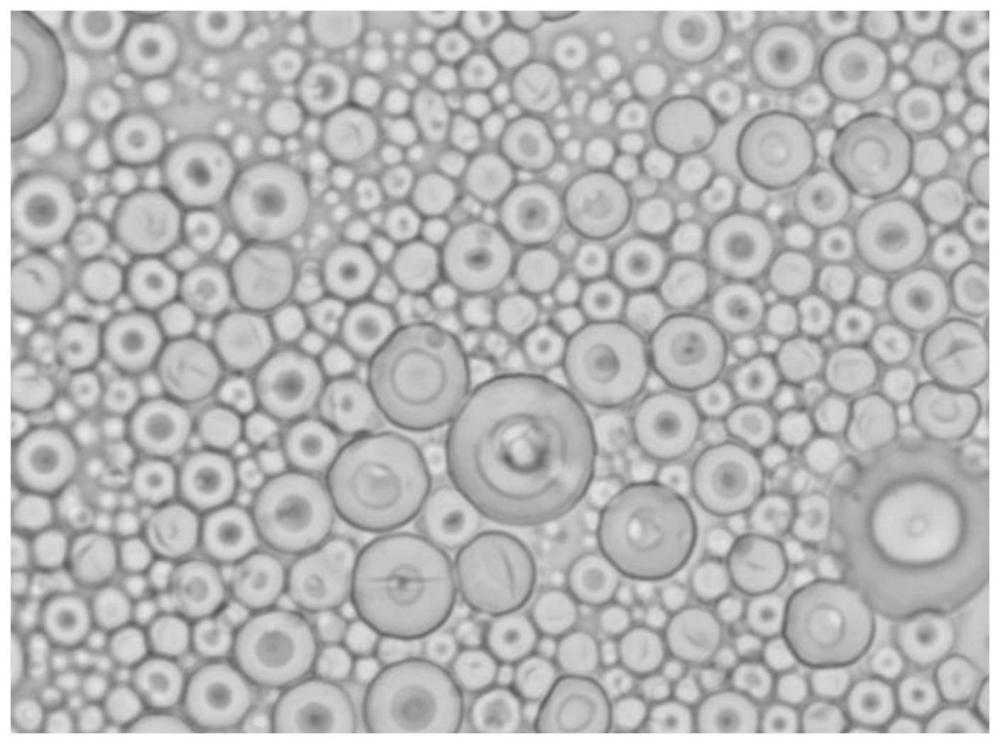 球状シリコン微粉末の製造方法に関する最新特許を取得