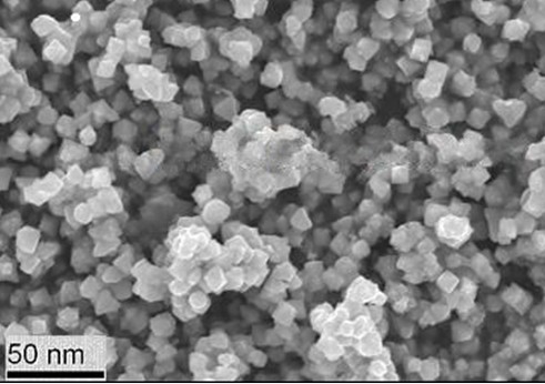 高解像度磁気感応強調イメージングにおける酸化鉄ナノ粒子