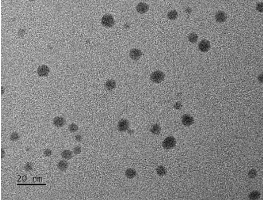 癌光熱療法のための光応答性ダブルネットワークヒドロゲルでの硫化銀ナノ粒子の革新的な使用